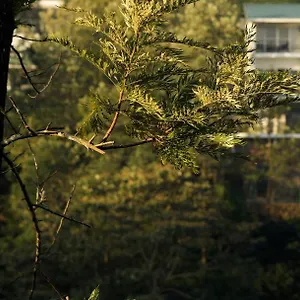 Semesteranläggning (resort) Falcon Crest ***